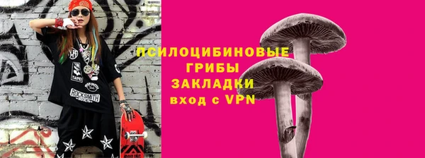 таблы Алзамай
