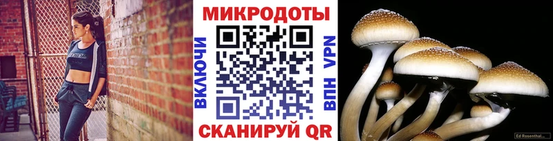 mega онион  Заполярный  Псилоцибиновые грибы MAGIC MUSHROOMS 